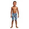 Funky Trunks Brouilleur Miniman Pengoo Parade -Speedo Boutique funky trunks brouilleur miniman pengoo parade
